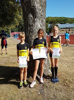 Finley, Neele und Adele (Foto: LV Altstadt '98)