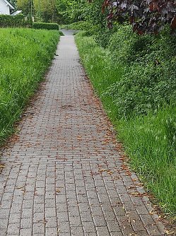 Hier noch ein weiteres Beispiel. (Foto: Leser/privat)