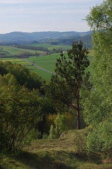 Arten erhalten (Foto: privat)