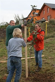 Tolle Idee (Foto: privat)