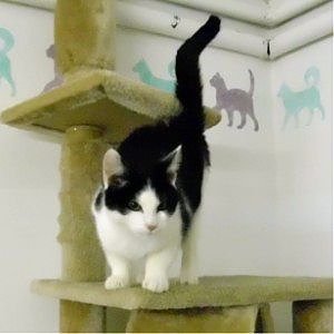 Werner (Foto: C. Knust)