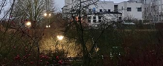 Bild: Die Bergungsarbeiten gestalten sich schwierig