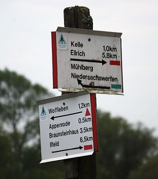 Bild: Sinnloses Geld