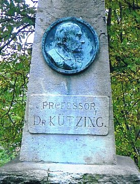 Bild: K&uuml;tzingdenkmal im Gehege