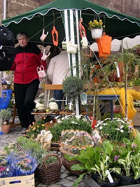 Bild: Fr&uuml;hling auf dem Markt