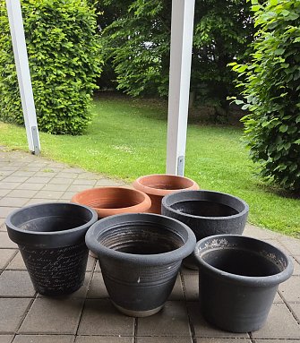 6 gro&szlig;e Pflanzt&ouml;pfe f&uuml;r kleines Geld  (Foto: )