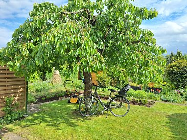 Garten  (Foto: )
