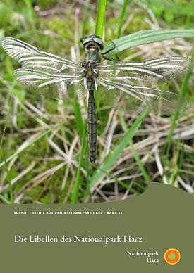 Bild: M&auml;nnchen der Alpen-Smaragdlibelle, einer Art f&uuml;r deren Erhalt der Nationalpark Harz eine besondere Verantwortung tr&auml;gt