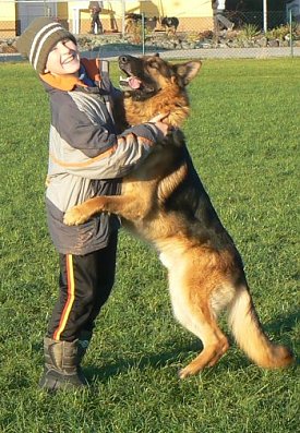 Bild: Kleiner Mann mit gro&szlig;em Hund