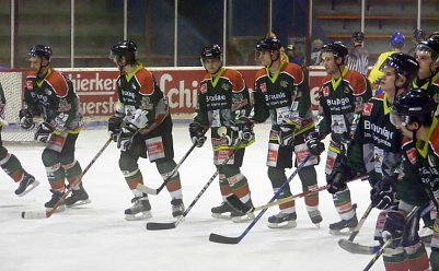 welle (Foto: robert koch)