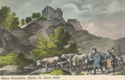 Burg Scharzfeld (Foto: privat)
