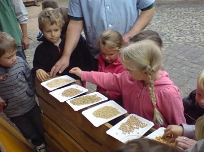 Entdecker unterwegs (Foto: privat)