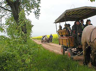 nnz-Kurz-News am Freitag (Foto: nnz)