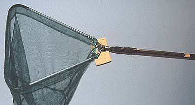 Affen-Diebe werden gesucht (Foto: nnz)