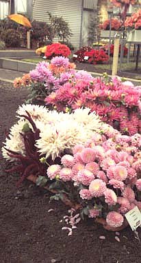 Auf ein Vorletztes! (Foto: nnz)