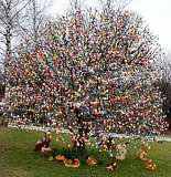 Dem Osterhasen auf der Spur (Foto: St&auml;dtetourismus)