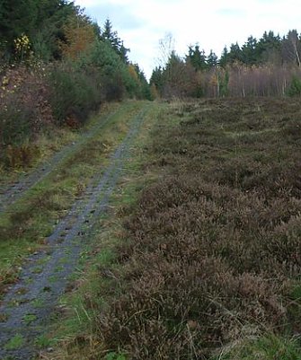 Grenzwanderung (Foto: A. Richter)