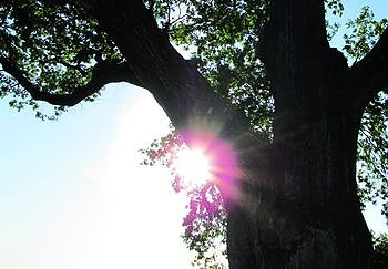 Naturpark-Momente (Foto: privat)