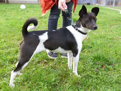 Elisa (Foto: C. Knust)