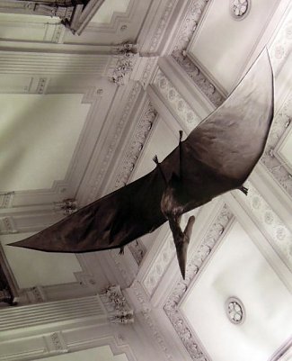 Bild der Ausstellung (Foto: J. Seifert)