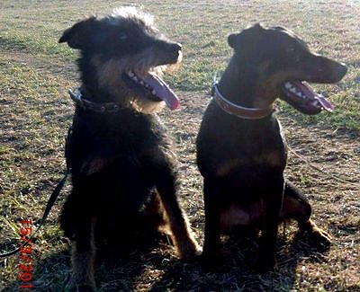 Dia ist wieder Zuhause (Foto: privat)