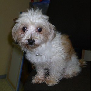 Rosali (Foto: C. Knust)