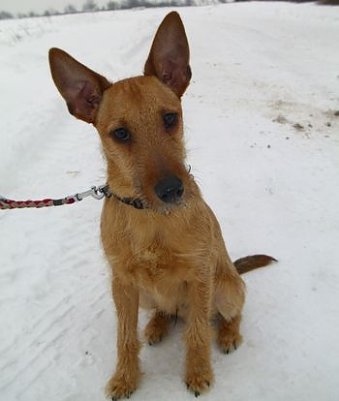 Gefunden (Foto: C. Knust)