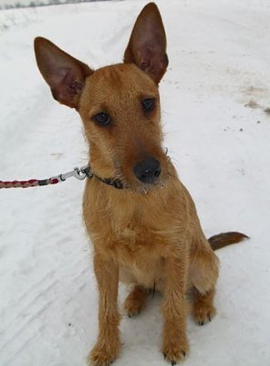 Cloony (Foto: C. Knust)