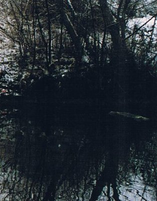 Es kr&auml;chst der Dunkelheit Rune (Foto: Archiv Kneffel)