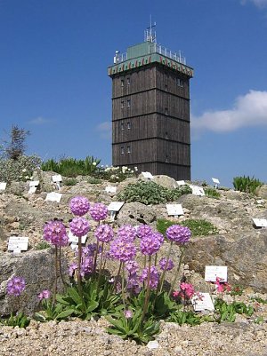 Der Brockengarten (Foto: Dr. Gunter Karste)