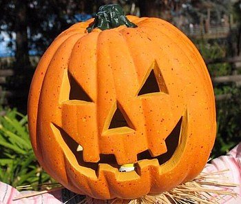 K&uuml;rbis (Foto: Lift)