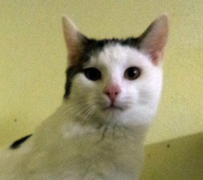 Moni (Foto: C. Knust)