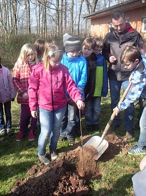 Baum gepflanzt (Foto: privat)