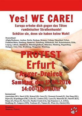 Flyer (Foto: privat)