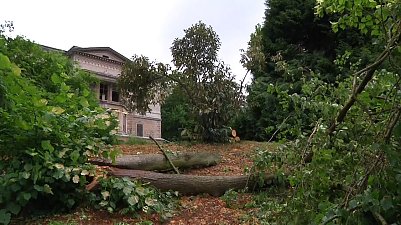 In Nordhausens Park Hohenrode wurde Ende vergangener Woche Geburtstag gefeiert - trotz Sturmsch&auml;den (Foto: Angelo Glashagel)