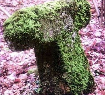 S&uuml;hnekreuz (Foto: Archiv)