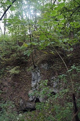 30 Meter tief, 80 Meter im Umfang - der Erdfall ist eindrucksvoll, von au&szlig;en aber kaum wahrnehmbar (Foto: nnz)