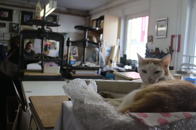 Im Reich von Heike Pfeng ist es zwar etwas beengt, daf&uuml;r aber auch spannend (Foto: Angelo Glashagel)