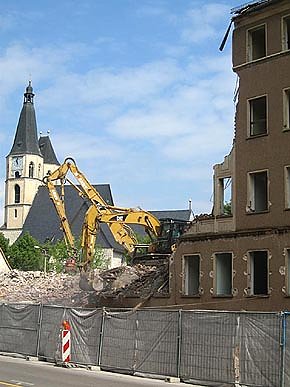 Management einer Brachfl&auml;che (Foto: fhn)