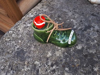 Schnapsschuh (Foto: )