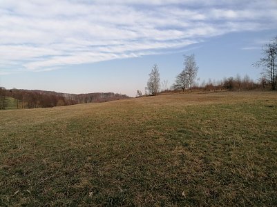 Freizeitpartnerin  (Foto: )