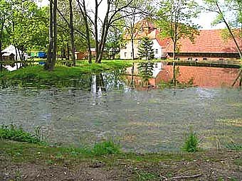 Ein besonderes Gut (Foto: nnz)