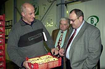 Pilz-K&ouml;pfe (Foto: nnz)