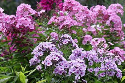 top Qualit&auml;t (Foto: )