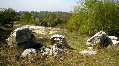 Gute Nachricht f&uuml;r die Natur (Foto: nnz)