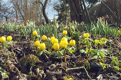 nnz-Foto des Tages (Foto: nnz)