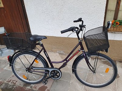 fahrrad2 (Foto: )