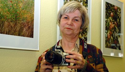 Blick in die Windl&uuml;cke (Foto: nnz)