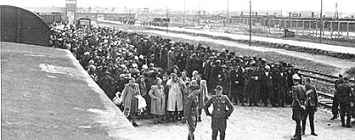 Ein Tag im Leben der Lili Jacob... (Foto: nnz)