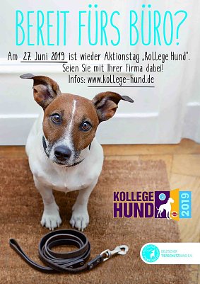12. Aktionstag "Kollege Hund" (Foto: Deutscher Tierschutzbund e.V.)